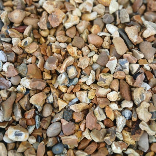 Golden Shingle